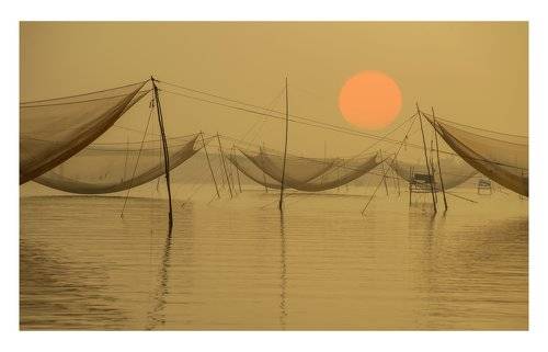 catch fish with dawn