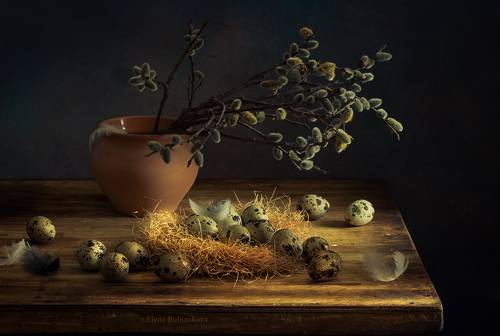 Вербная неделя