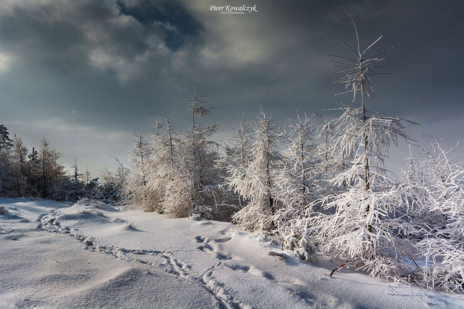polska, zima, Kowalczyk Piotr