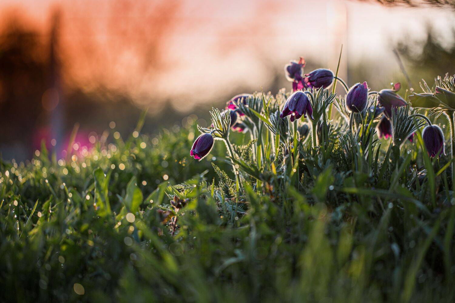 , Зеленько Дмитрий