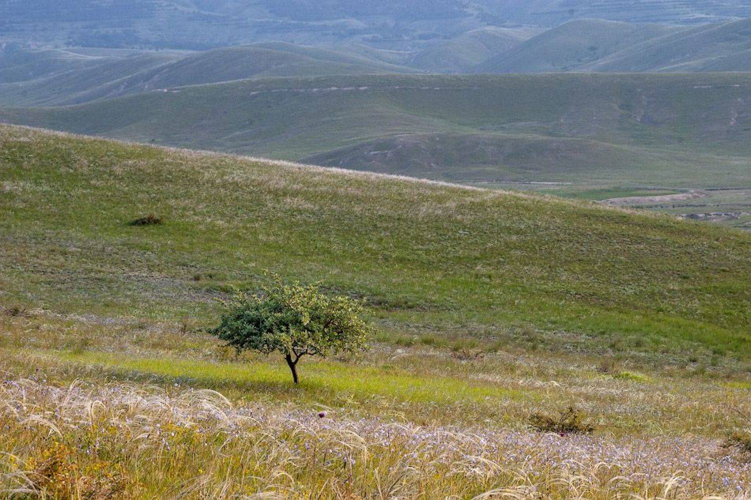 , Андрей Гусаченко