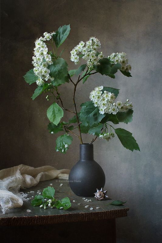 ~~ фото превью