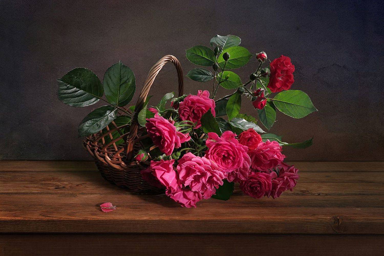 натюрморт, розы,корзина, Алла Шевченко