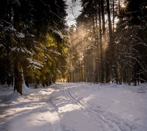 Мороз и солнце...