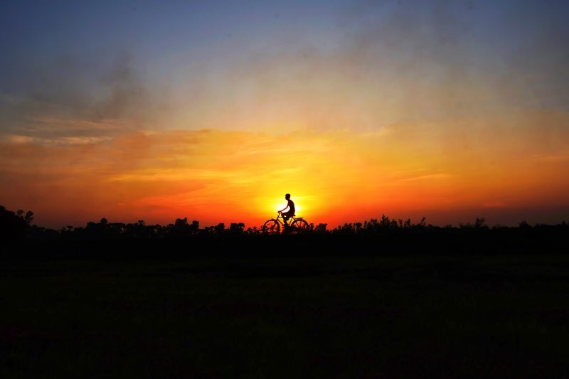 Home coming фото превью