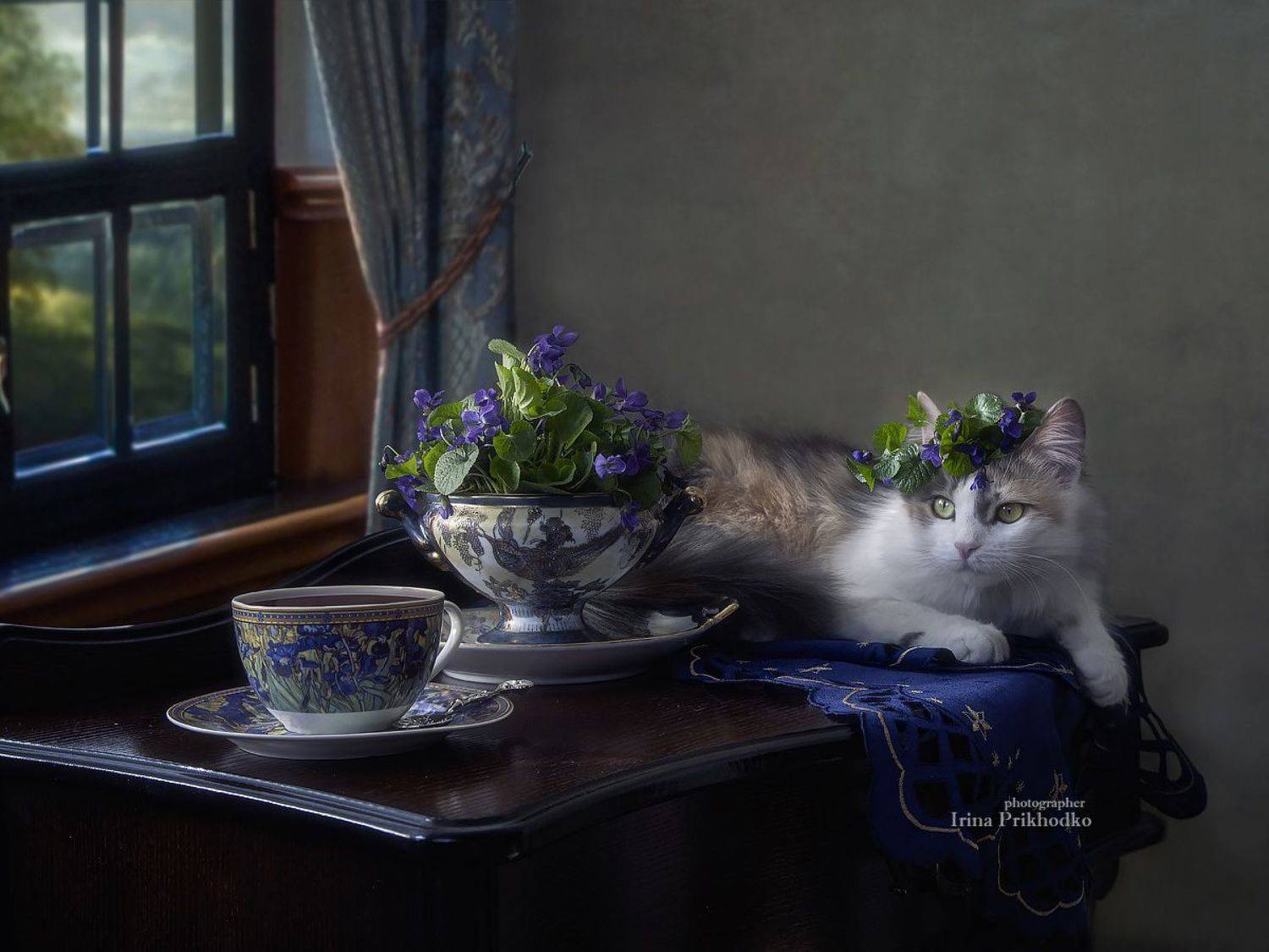 натюрморт, котонатюрморт, постановочное фото, кошка, фиалки, цветы, букеты, Приходько Ирина