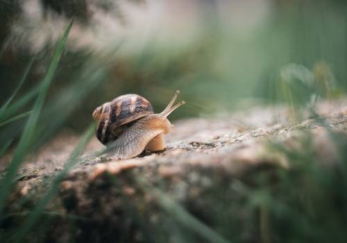 Прогулки под апрельскими дождями.