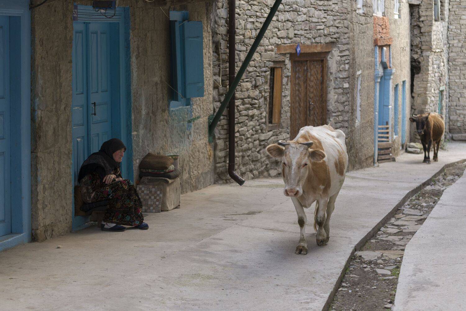 Дагестан, Корода, Гуниб, Кавказ, село, дорога, люди, горцы, корова, животные, звери, дом, отдых, дверь, стена, окно, путешествие, традиции, Сергей Козлов