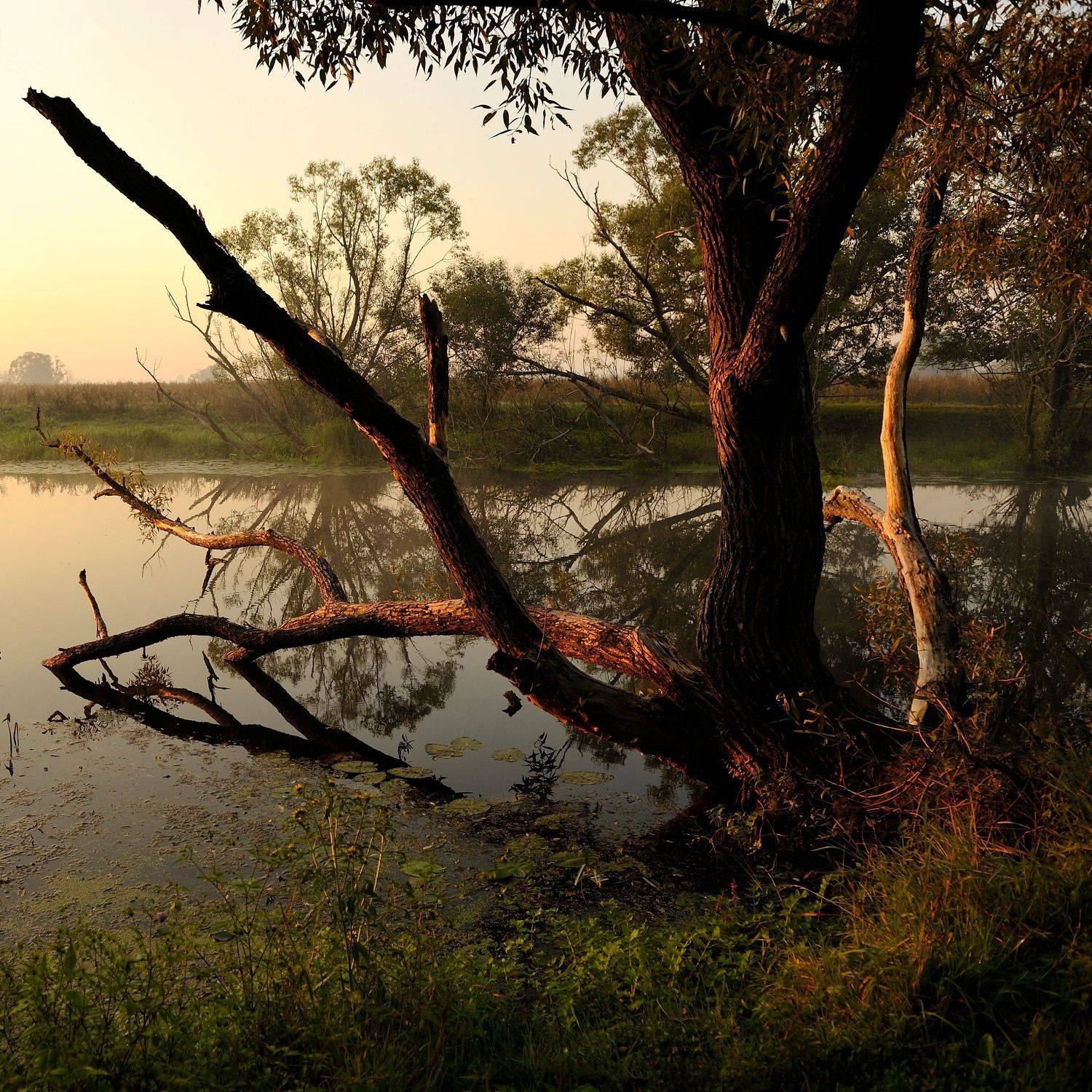 , Андрей Балабин