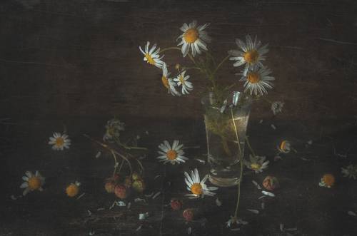 Веточка земляники