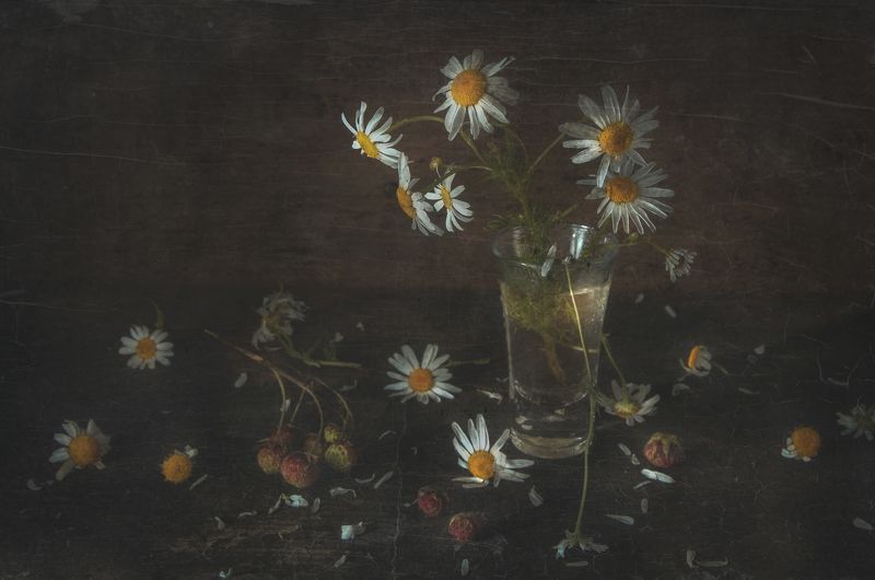 веточка ,земляника,стакан,ромашка, ягода Веточка земляники фото превью