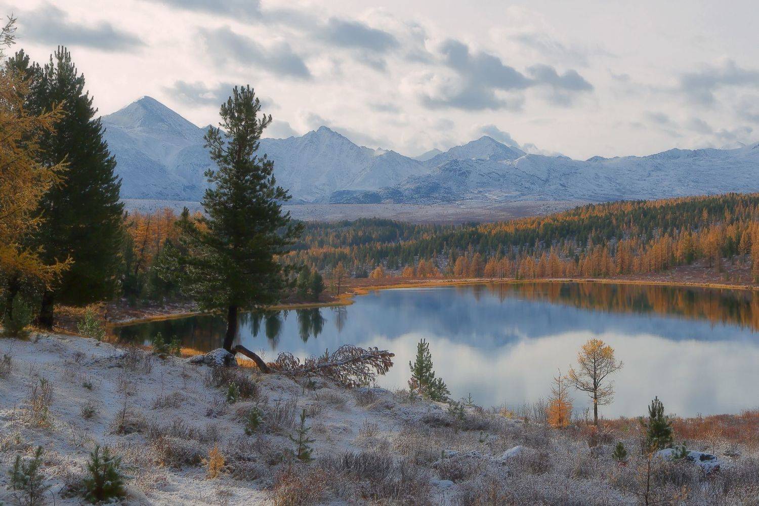 , Евгений Зинов