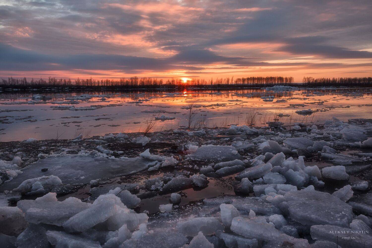 , Никитин Алексей