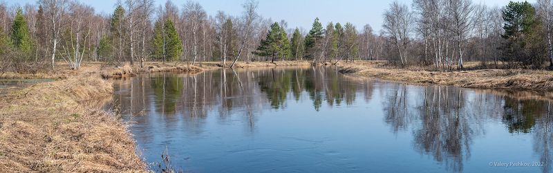 весна, весенняя река, разлив, отражения, магия отражений, мещёра, рязанская область. Pro магические миры весенней реки фото превью