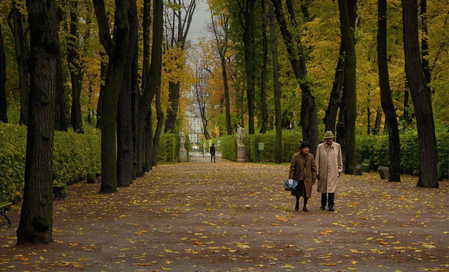 люди аллея листья деревья, Вера Петри