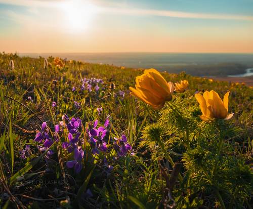 Ставропольская степь