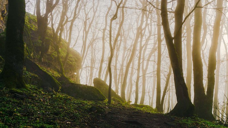 железноводск, туман, кмв У селитряных скал фото превью