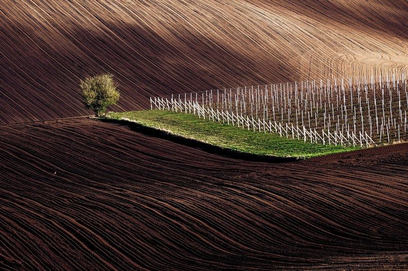 South Moravia фото превью