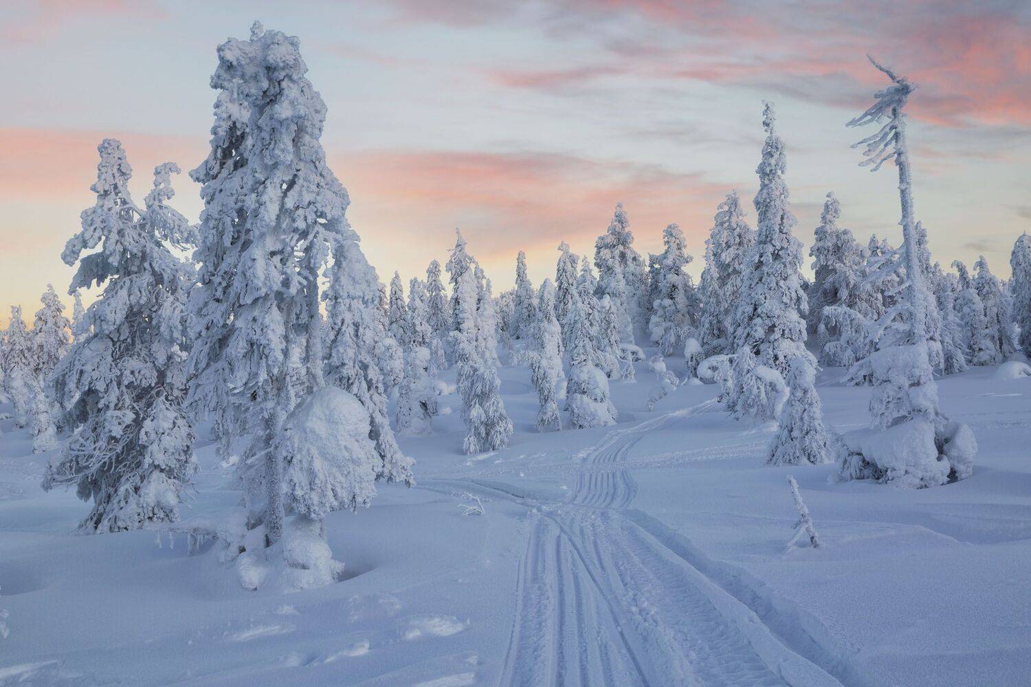 Фототуры с Владимиром Рябковым, Кольский, #topnature #russpasibo #magic_shots #lovelyRussia #sunset_vision #exclusive_sky  #exclusive_shots #loves_russia2 #photoarena_nature #nature_sultans #nature_perfection #rsa_sky #rsa_sunset #photorussia #rsa_naturep, Владимир Рябков