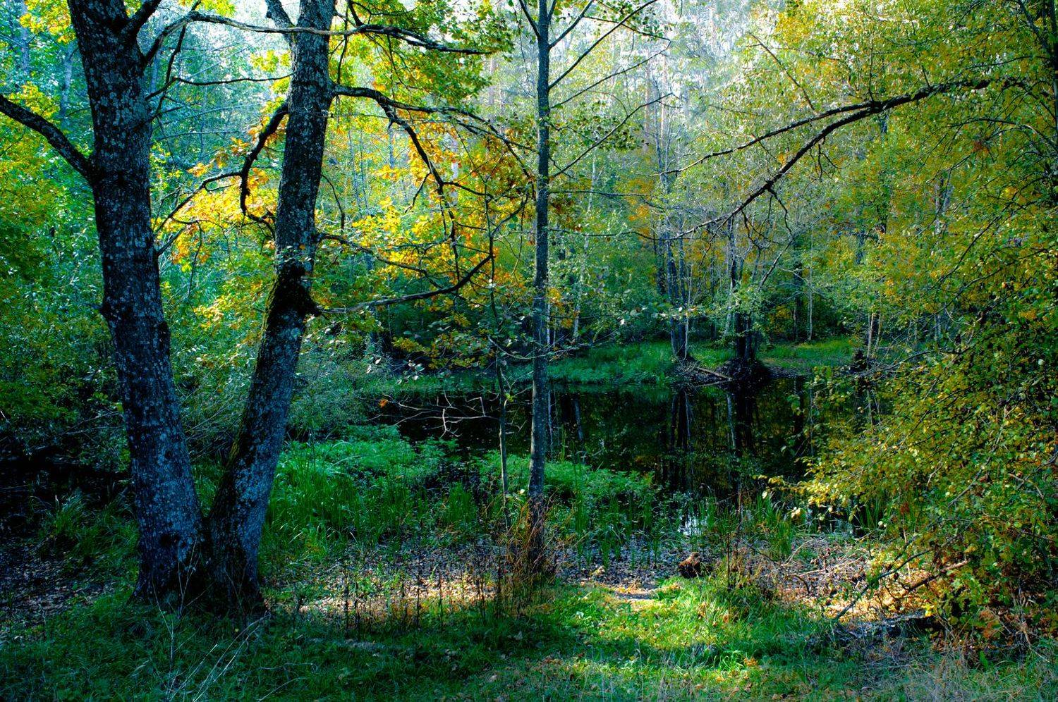 озеро черепашье, маклок, воронежская область, Рукин Иван