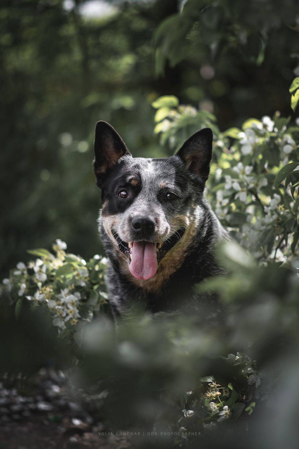 , Юлия Гончар