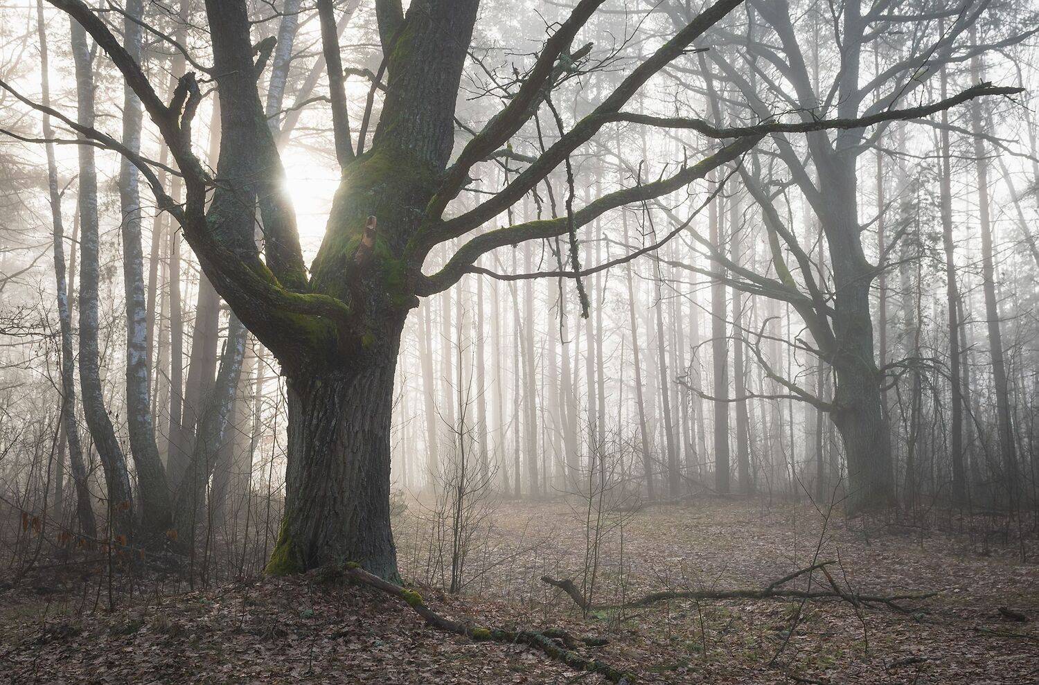 , Захаров Дмитрий