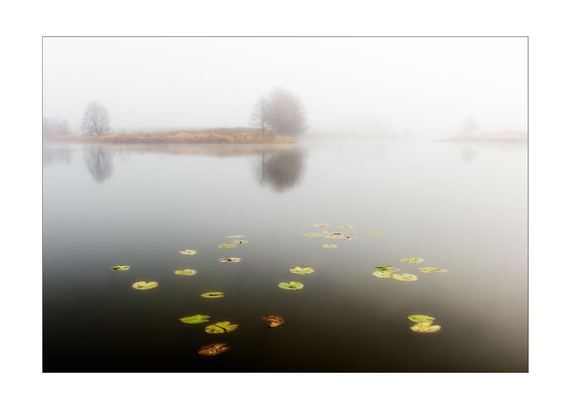 осень туман кувшинки трава озеро вода деревья Последнее дыхание осени фото превью