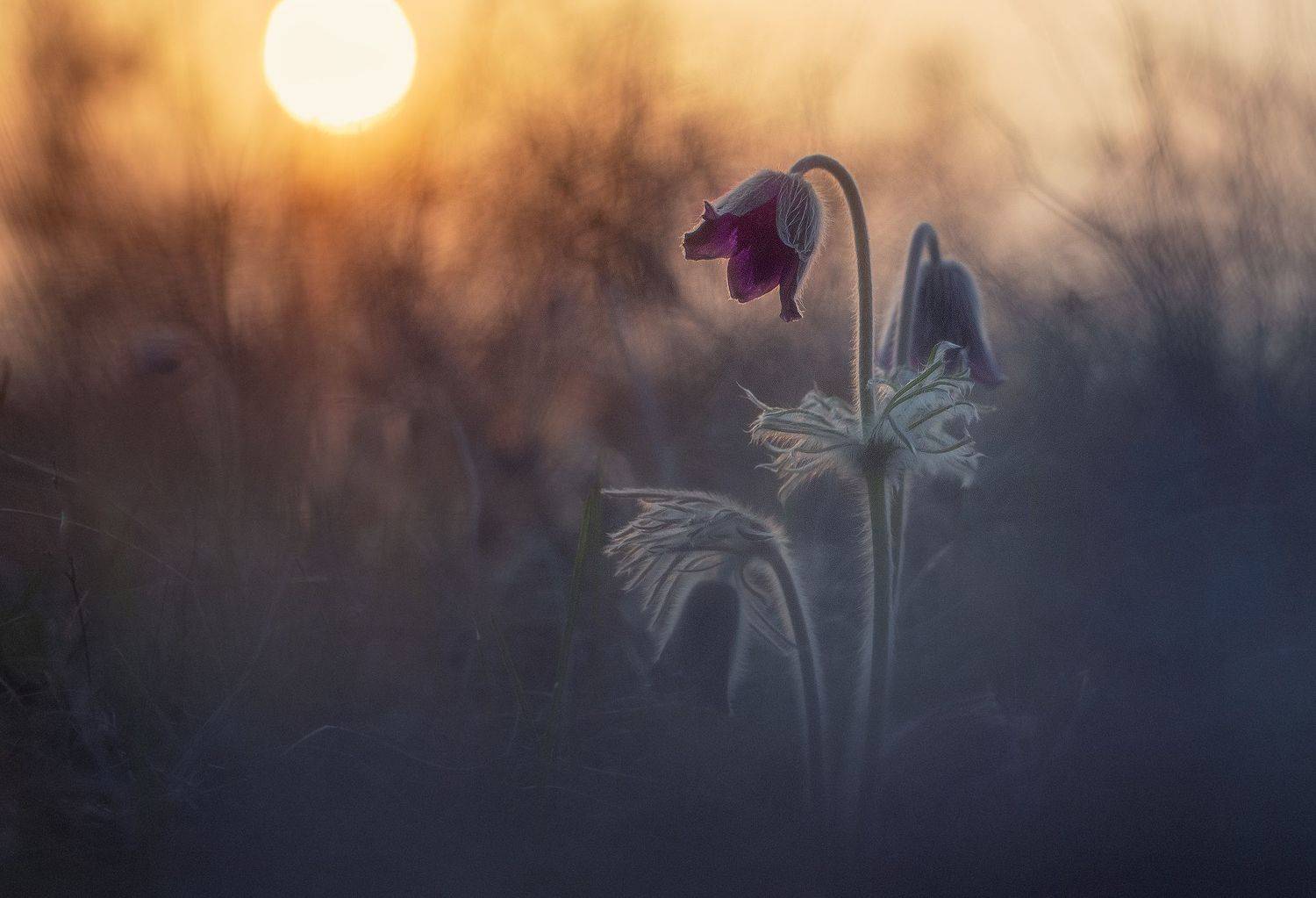 , Андрей Жила