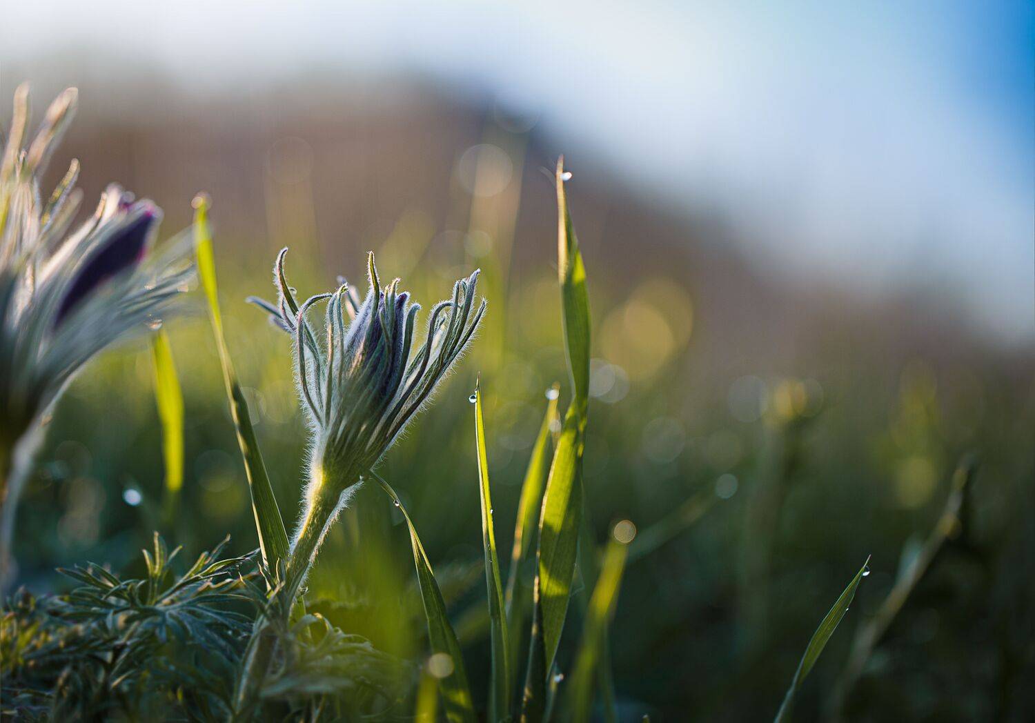 , Зеленько Дмитрий