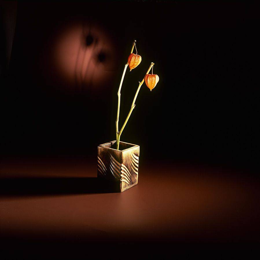 коричневыйфон фонарики натюрморт, Бекетова Ольга