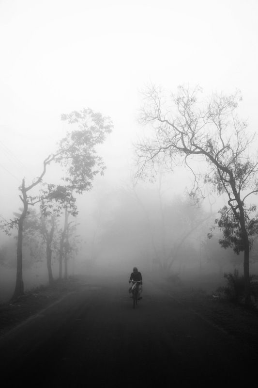 Morning life фото превью