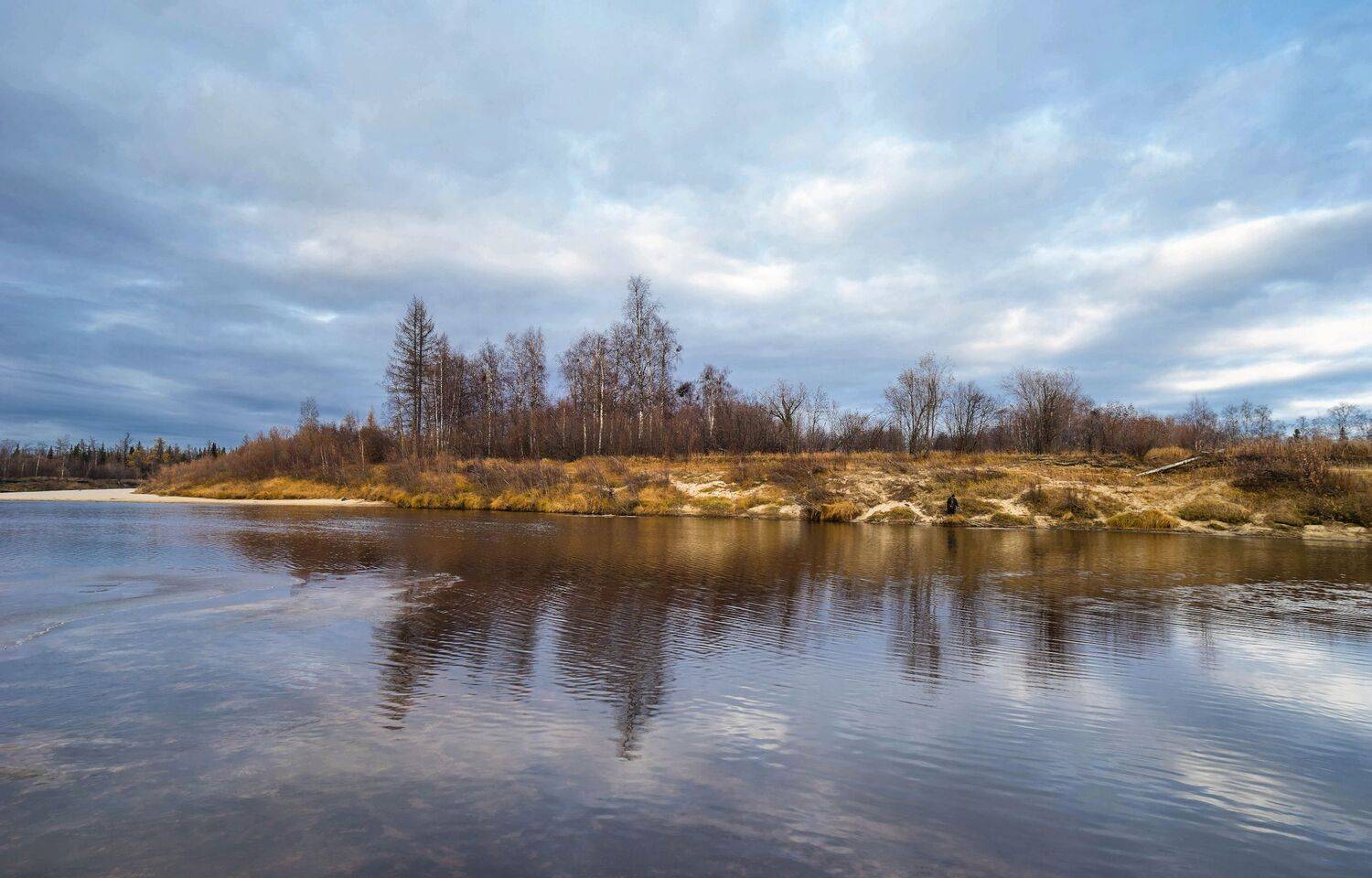 yashica ml 21 mm f 3.5, Дмитрий Цыпляев