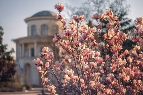 Весеннее утро в Севастополе