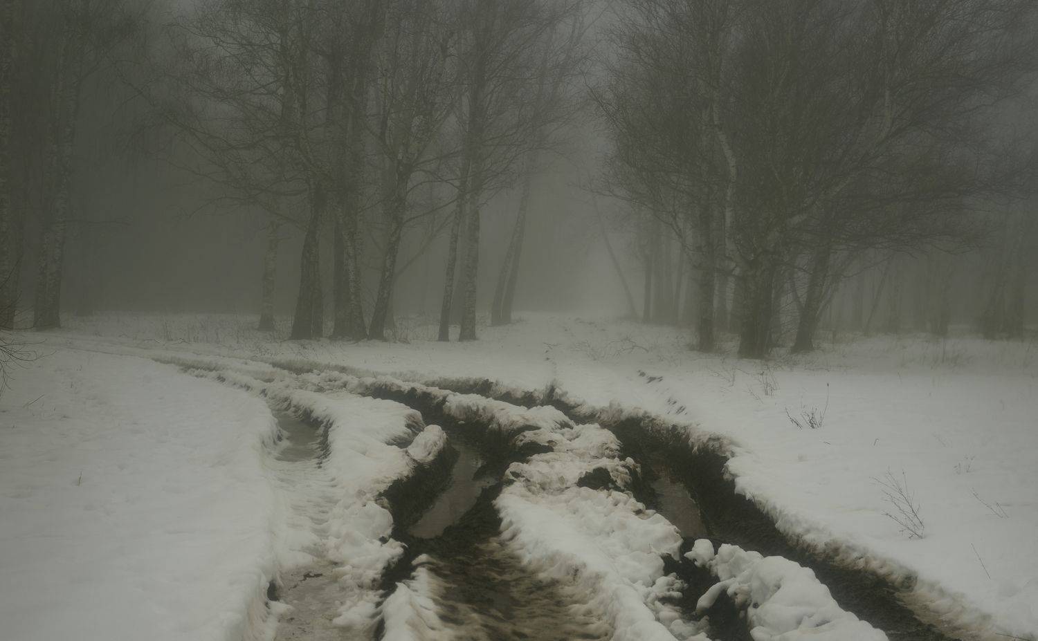 зима туман лес утро дорога, Александр Жарников