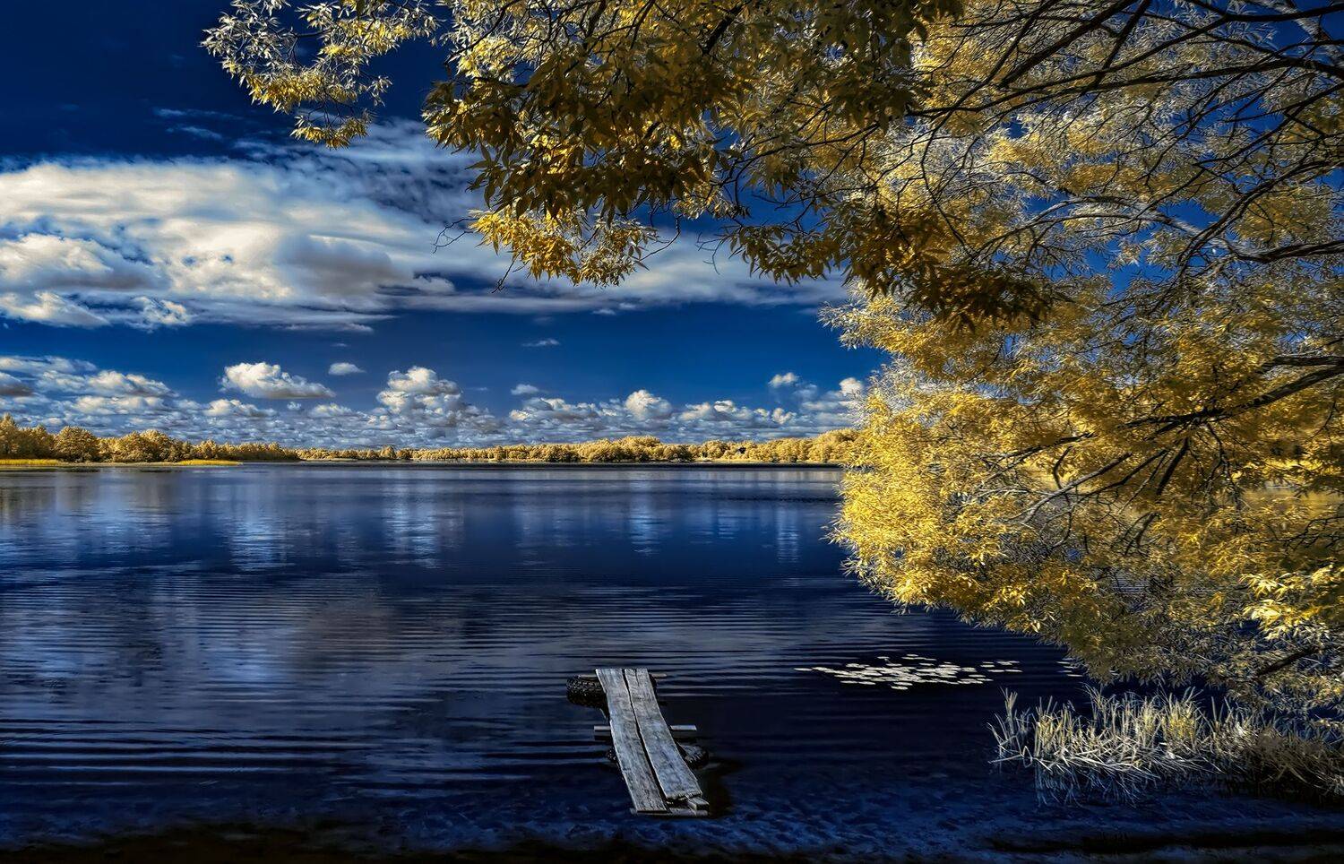 infrared,ик-фото,инфракрасное фото, инфракрасная фотография, пейзаж, лето,  Sixten (Сергей)