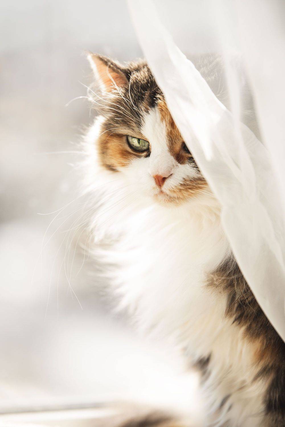 , Ирина Мороз