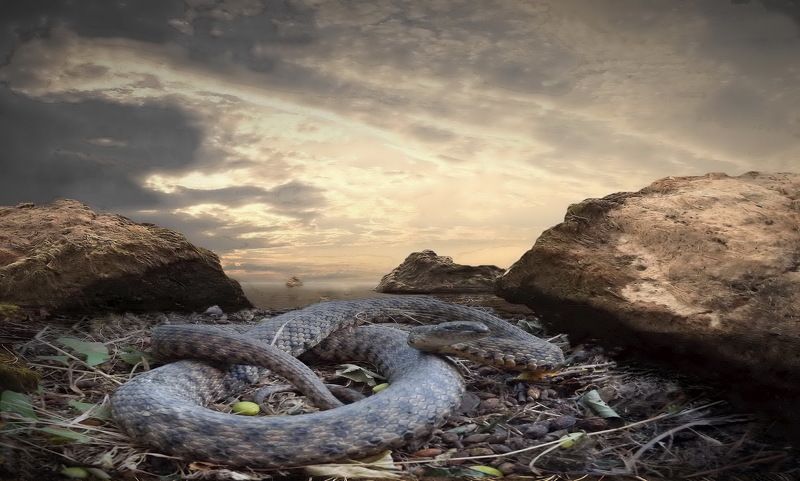 одесса ХАДЖИБЕЙ фото превью