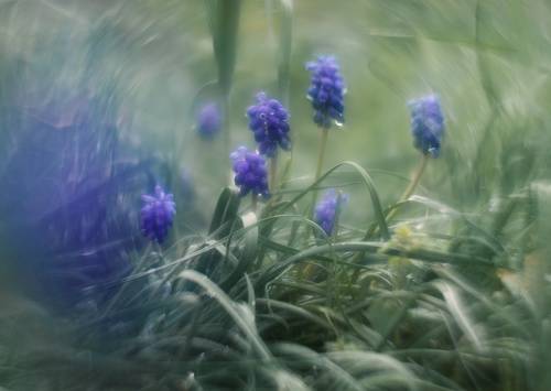 Призма дождливого сна.