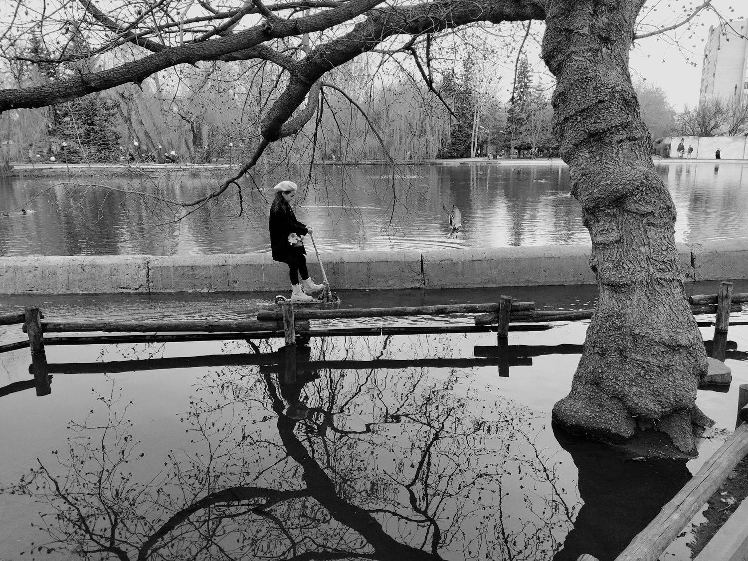 весна, детские шалости, весенние шалости, на самокате по лужам, лужа, огромная лужа, ч/б, b&w, children pranks, spring pranks, отражение,, Karina Yakovleva