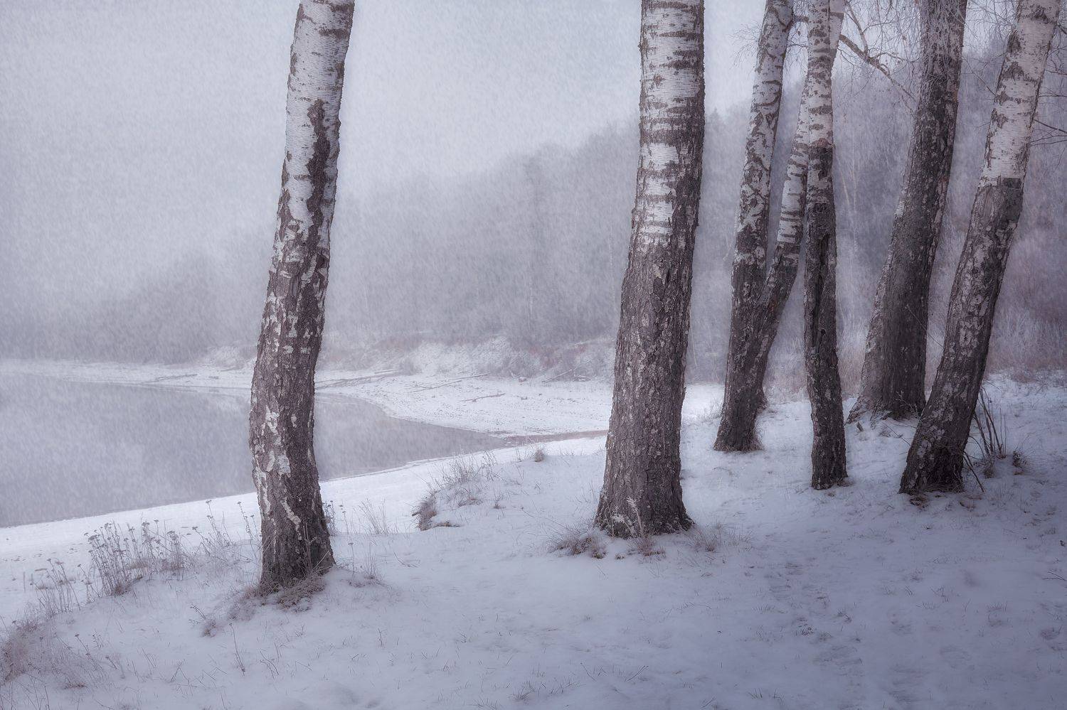 , Булатов Дмитрий