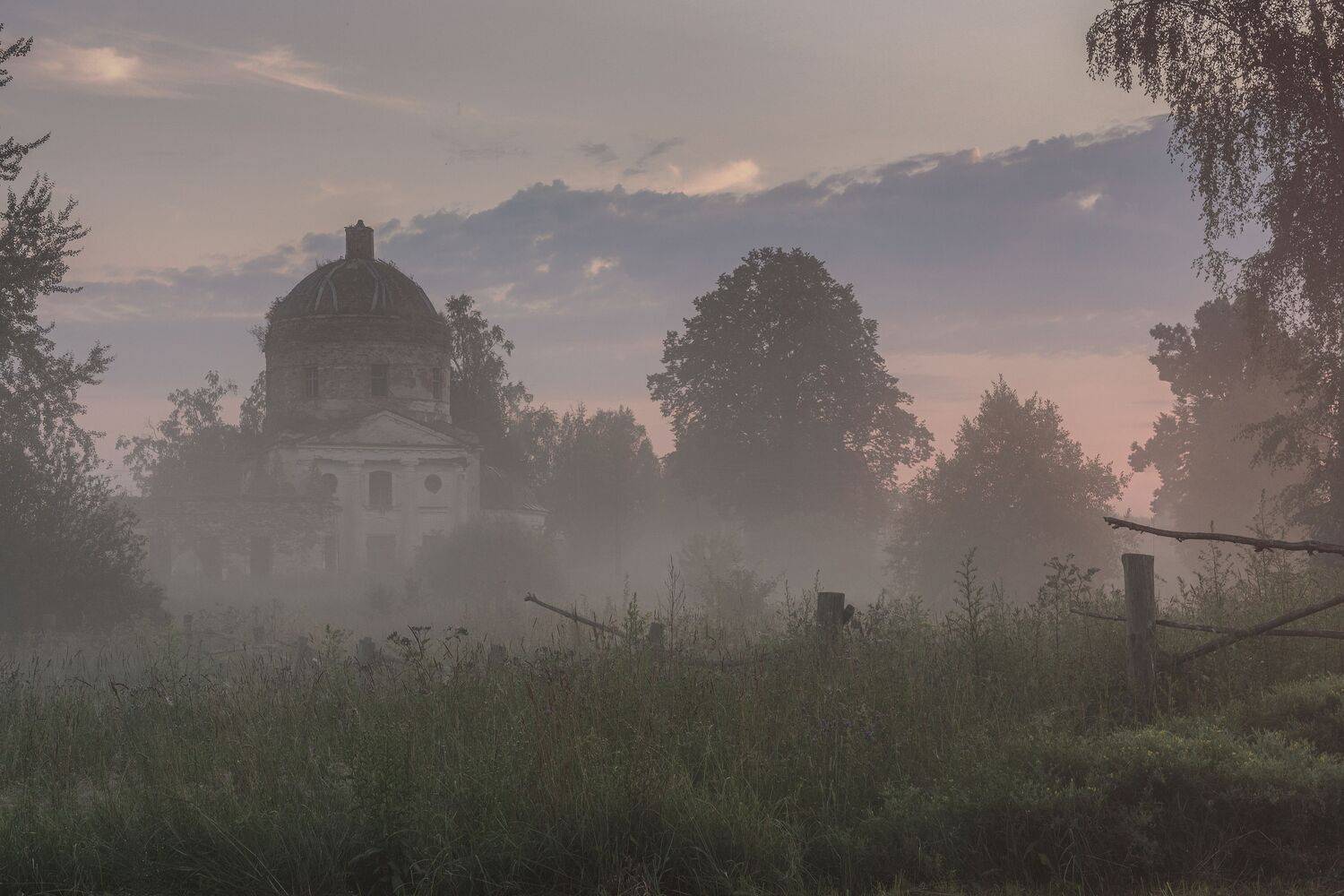 Тверская область, Гусева Елена