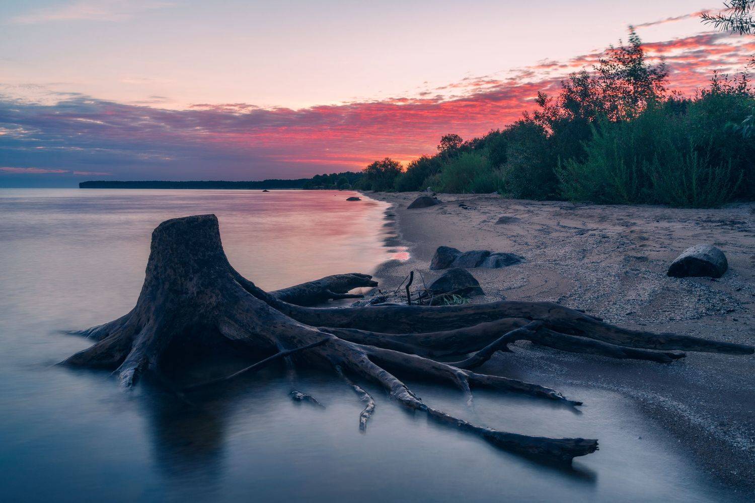 рыбинское водохранилище, ярославская область, берег, вечер, вода, коряга, закат, лето, Алексей Глухов