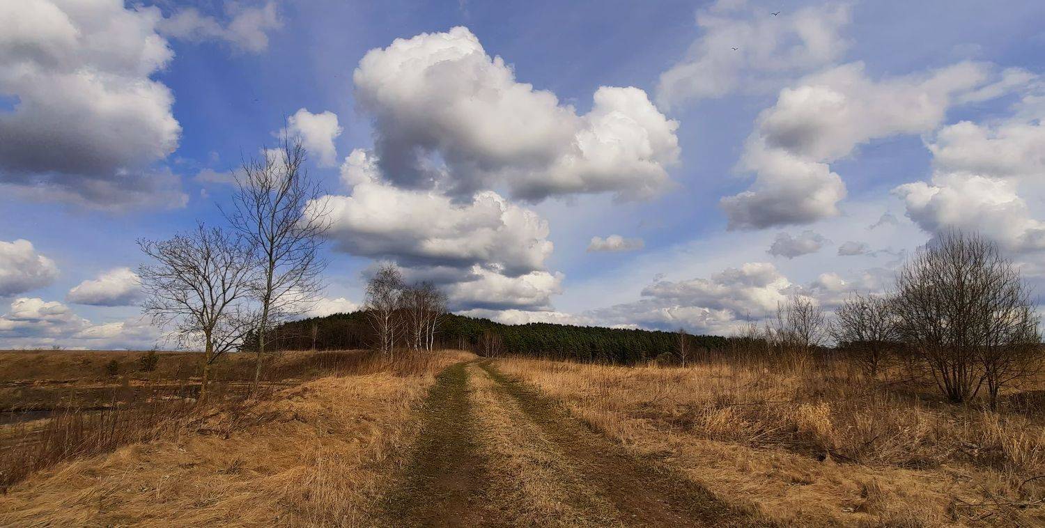 весна, апрель, дорога, небо,, Сергей Шабуневич