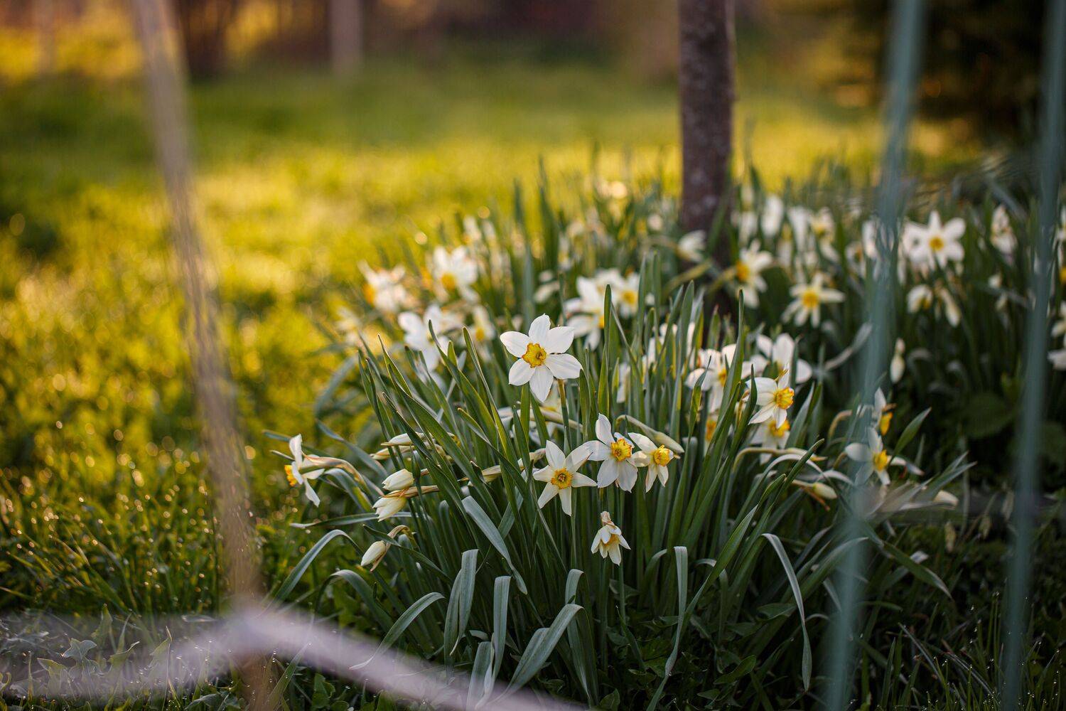 , Зеленько Дмитрий