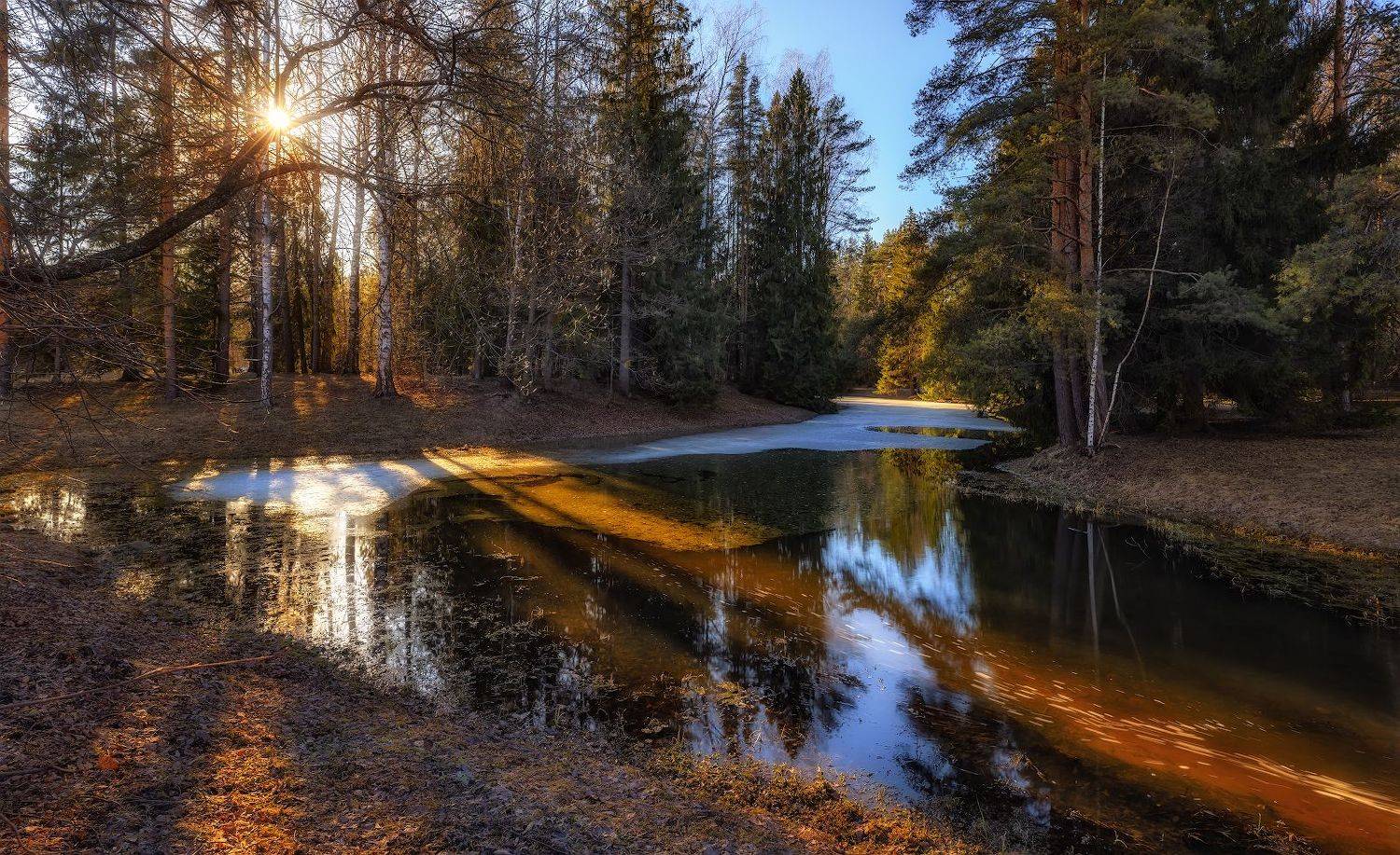 павловск весна апрель вечер закат пруд, Скороходов Константин
