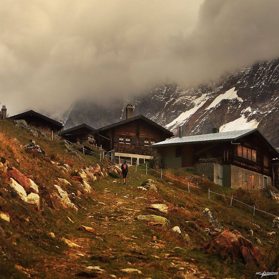 swiss, Матвеев Николай