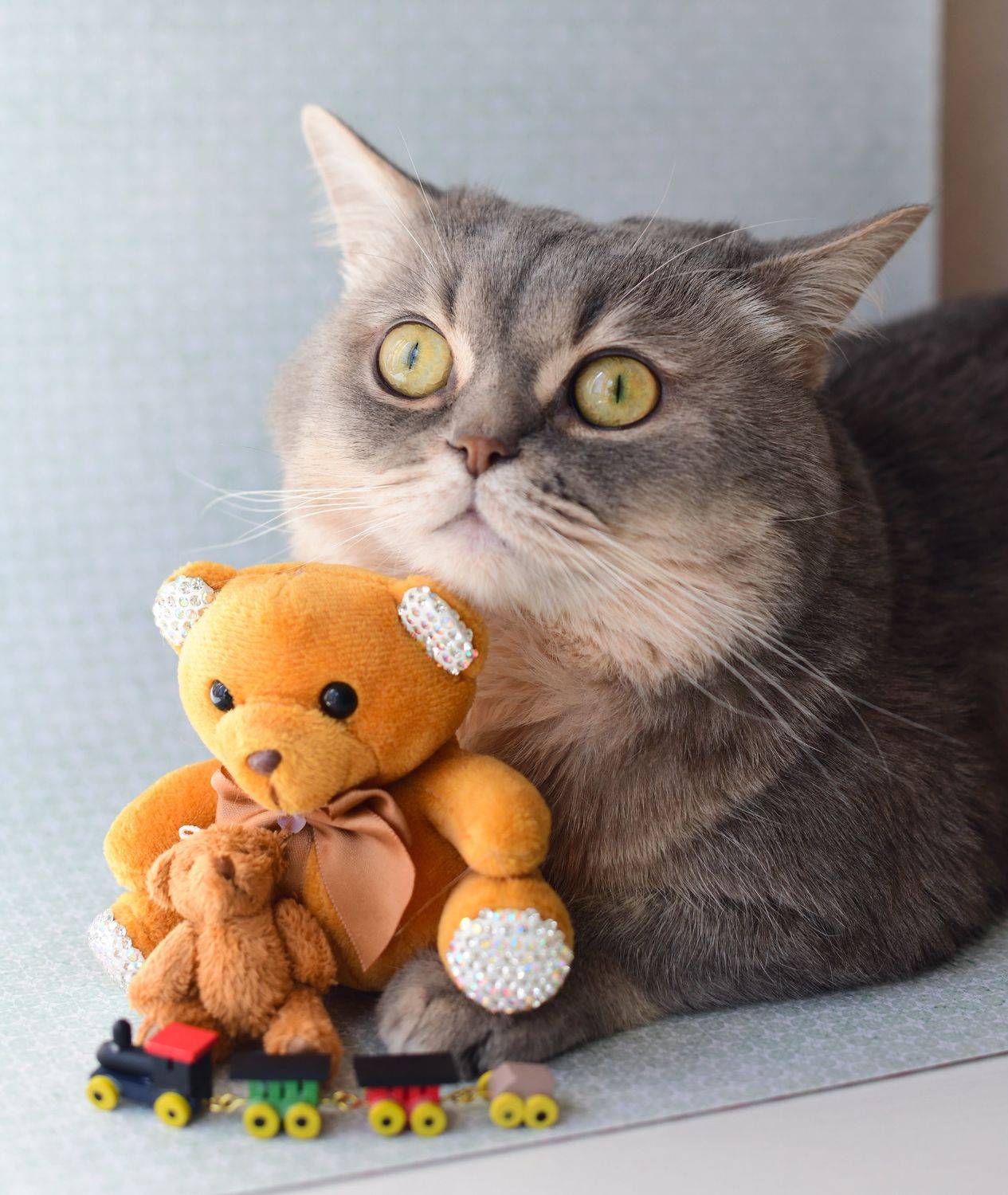 , Божена Пучко