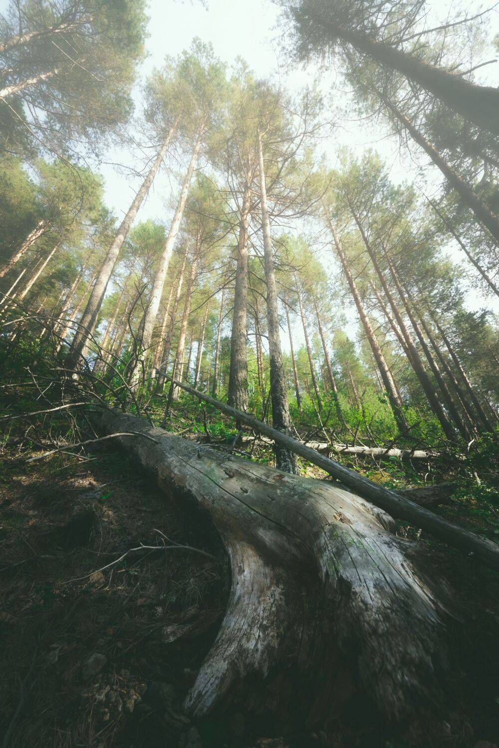 , Котов Андрей