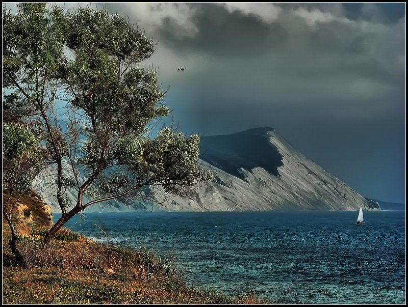 ВЕТЕР фото превью