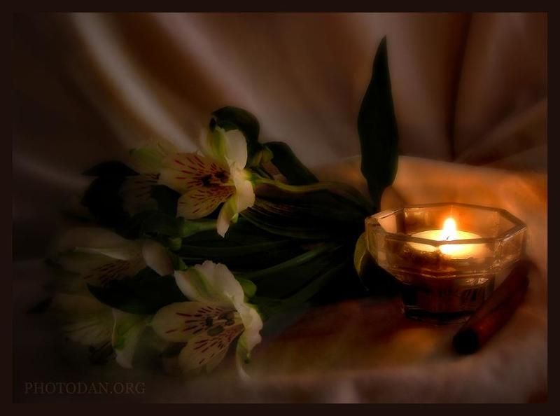 альстрёмерия Свеча горела... фото превью